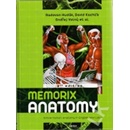 Memorix anatomy