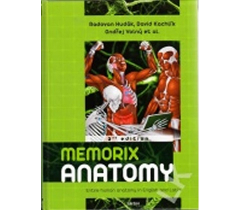 Memorix anatomy