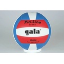 Gala Pro-Line Mini BV 4051 S