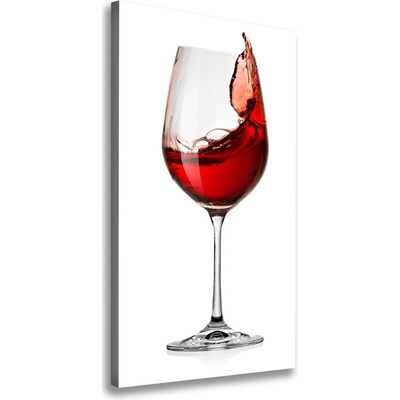Vertikálny foto obraz na plátne Červené víno 50x100 cm