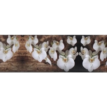 Preinterier Samolepiaca bordúra Orchidea BO5016 10,6cmx5m