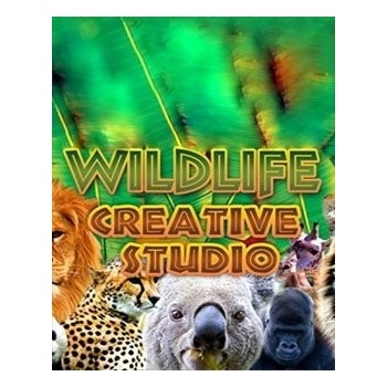 Wildlife Creative Studio
