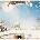 Universal Camel: Moonmadness - CD (073658)