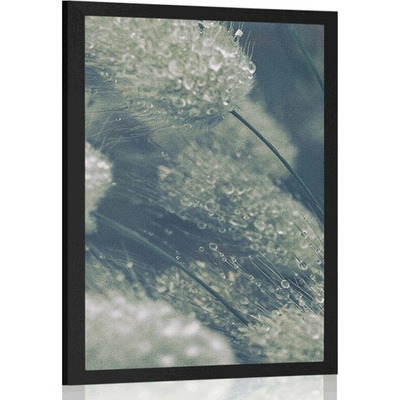 Plakát kapky rosy na trávě - 30x45 white