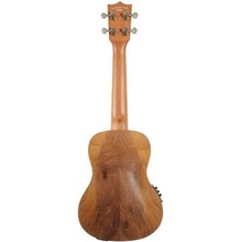 Tanglewood TWT 3