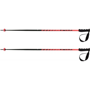 Völkl Speedstick 2024/25