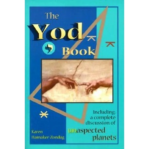Yod Book | Karen Hamaker-Zondag (ISBN: 9781578631636)