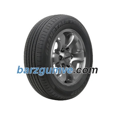 Dunlop Grandtrek PT30 ( 225/65 R17 102H)