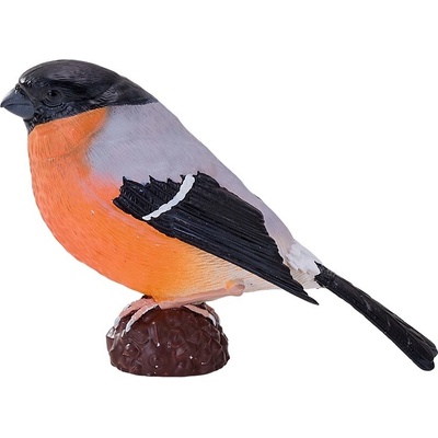 Mojo Hýľ obyčajný