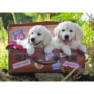 Ravensburger - Puzzle Traveling Pups XXL - 100 piese