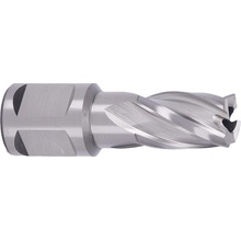 ABSE N-HS-W19-0150025