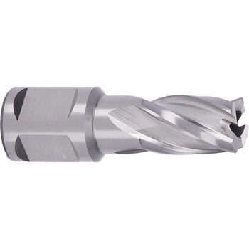 ABSE N-HS-W19-0150025