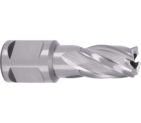 ABSE N-HS-W19-0150025