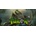 Turok