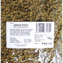 Semeno REPA KŔMNA Ursus Poly 250g