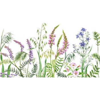 DIMEX ART s. r. o Флизелинов фототапет диви цветя 375 x 250 см