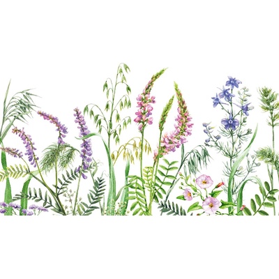 DIMEX ART Флизелинов фототапет диви цветя 375 x 250 см