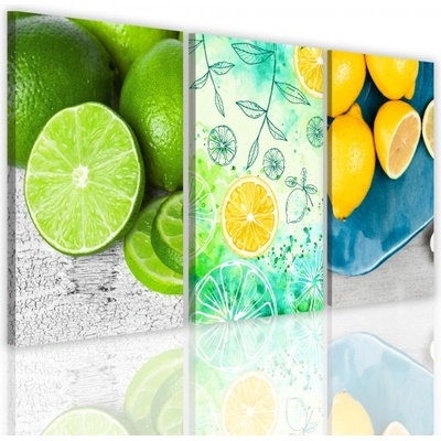 Divio Třídílný obraz na plátně citrus, vzor 41114 Velikost: 90x180 cm