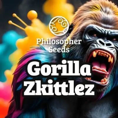 Philosopher Seeds Gorilla Zkittlez semienka neobsahujú THC 3 ks