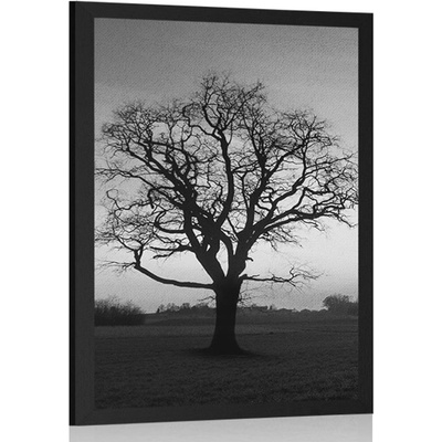 Plakát okouzlující strom v černobílém provedení - 20x30 black