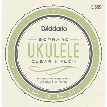D'addario EJ65S
