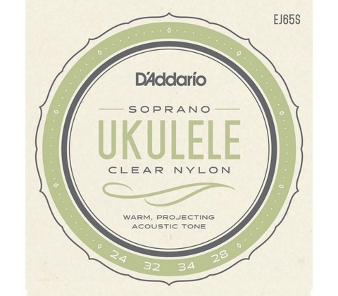 D'addario EJ65S