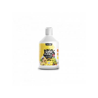 Czech Virus SUPERVITA PRO V2.0 Spicy Ginger