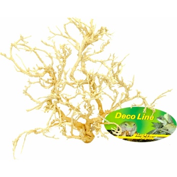 Lucky Reptile Desert Bush vybělené 15-20 cm