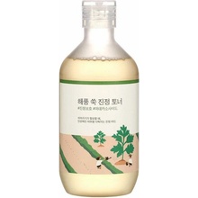 Okrúhla laboratórium Mugwort upokojujúce tonikum 300 ml