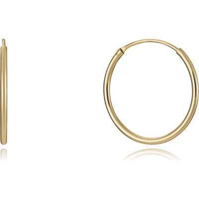 Viceroy náušnice 13111E100-06