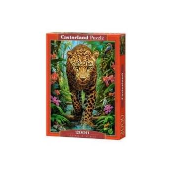 Castorland Puzzle 2000 pieces Leopard in the Wild