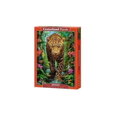 Castorland Puzzle 2000 pieces Leopard in the Wild
