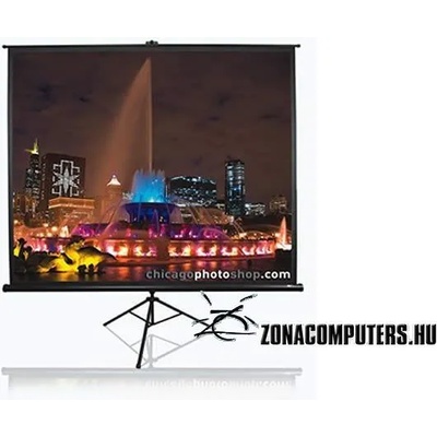 Elite Screens T99NWS1