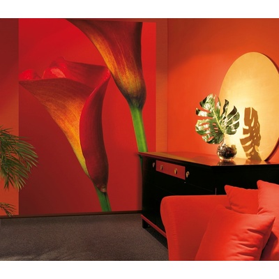 W+G 406 Papírová 4 dílná fototapeta Red Calla Lilies, rozměry 183 x 254 cm