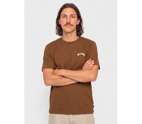 Billabong Arch Tortoise Shell