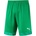 Puma Cup