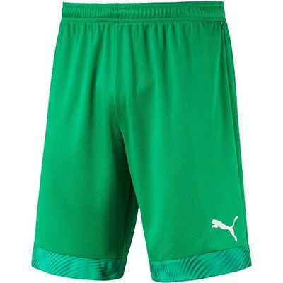 Puma Cup