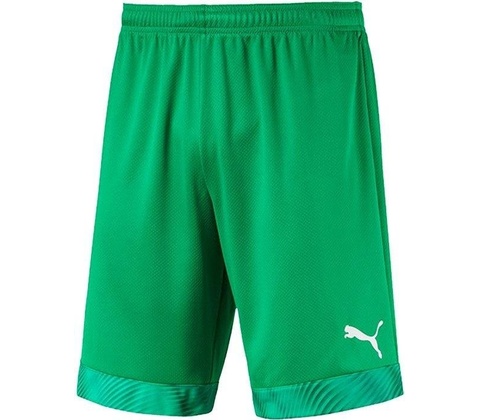 Puma Cup