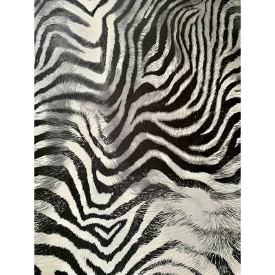 Zebra natural