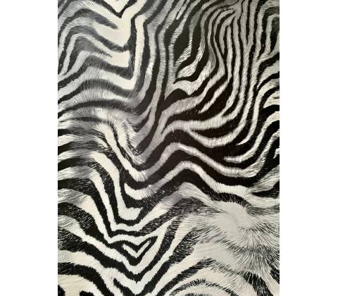 Zebra natural