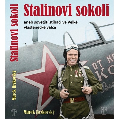 Stalinovi sokoli aneb sovětští stíhači ve Velké vlastenecké válce