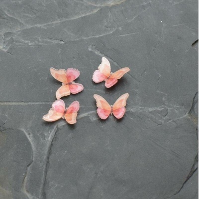 - Kabošon motýlek 13x15,5mm - oranžovo-růžový 20 ks
