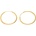 Argento 6A005