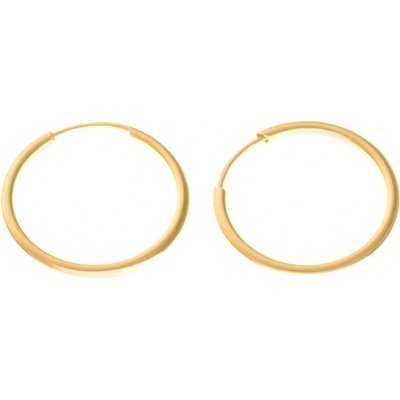 Argento 6A005