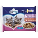 Kapsičky pre mačky PreVital Cat Junior jahňacie krůtí losos pstruh v omáčke 4 x 100 g