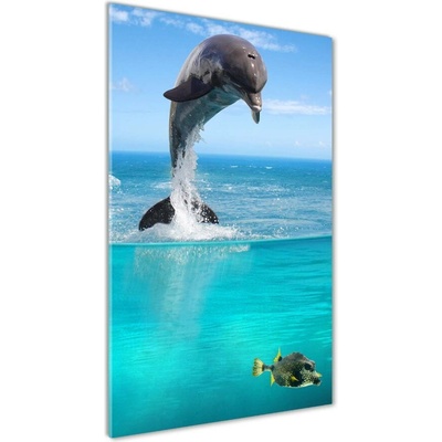 Vertikálny foto obraz sklo tvrdené Podvodný svet 50x100 cm