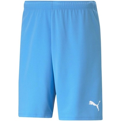 Puma teamRise Short Team