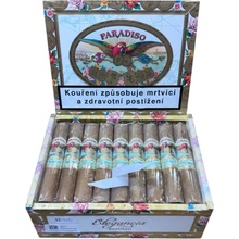 Paradiso Elegancia Robusto 1 ks