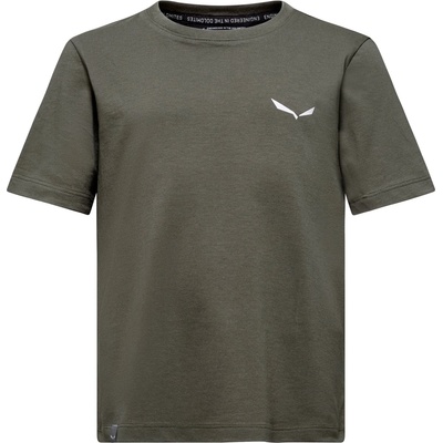 Salewa Детска тениска Salewa Kid's Graphic T-Shirt - Faded Green - размер 116 (EU) (704-5543-0213)