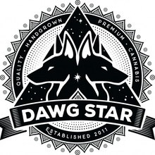 Dawg Star Seeds Ewok semena neobsahují THC 3 ks